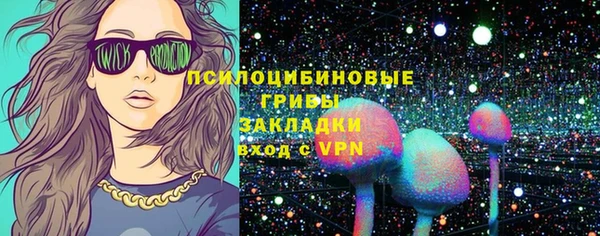 стаф Баксан