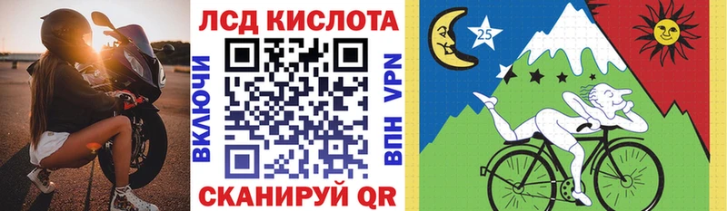 где можно купить   Белокуриха  Марки NBOMe 1,8мг 