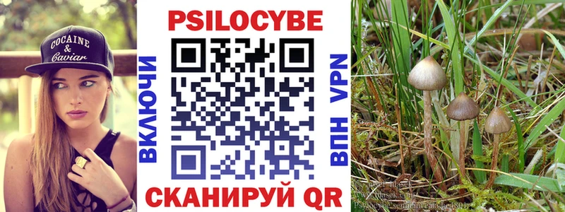 Галлюциногенные грибы мицелий  купить   мега зеркало  Белокуриха 